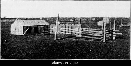 . Principes et pratiques de la culture de la volaille . La volaille. Fli. Domaine sliowing système S. colonie à Liltle Complon. Kliodc Island. Fic. 9. L'une des maisons basses en 1-ig. S. Wlien les bovins sont dans le pâturage la clôture est ajusté pour les garder J'ai le rhum des poules d'eau et de nourriture. Veuillez noter que ces images sont extraites de la page numérisée des images qui peuvent avoir été retouchées numériquement pour plus de lisibilité - coloration et l'aspect de ces illustrations ne peut pas parfaitement ressembler à l'œuvre originale.. Robinson, John H. (John Henry), 1863-1935. Boston ; New York : Ginn et compagnie Banque D'Images