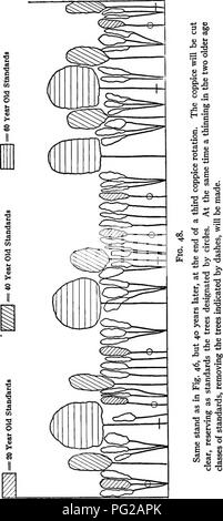 . La pratique de la sylviculture : spécialement en ce qui concerne son application aux États-Unis . Les forêts et la foresterie. 13°. Veuillez noter que ces images sont extraites de la page numérisée des images qui peuvent avoir été retouchées numériquement pour plus de lisibilité - coloration et l'aspect de ces illustrations ne peut pas parfaitement ressembler à l'œuvre originale.. Hawley, Ralph C. (Ralph Chipman), 1880-. New York : John Wiley & Sons, Inc. ; Banque D'Images