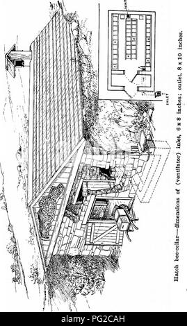 . Les abeilles d'hiver. Les abeilles. . Veuillez noter que ces images sont extraites de la page numérisée des images qui peuvent avoir été retouchées numériquement pour plus de lisibilité - coloration et l'aspect de ces illustrations ne peut pas parfaitement ressembler à l'œuvre originale.. Racine, E. R. (Ernest Rob), 1862-1953. Medina, Ohio : A. I. Root Co. Banque D'Images