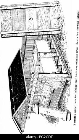 . Les abeilles d'hiver. Les abeilles. . Veuillez noter que ces images sont extraites de la page numérisée des images qui peuvent avoir été retouchées numériquement pour plus de lisibilité - coloration et l'aspect de ces illustrations ne peut pas parfaitement ressembler à l'œuvre originale.. Racine, E. R. (Ernest Rob), 1862-1953. Medina, Ohio : A. I. Root Co. Banque D'Images