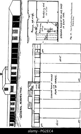 . Basse-craft. Un texte-livre aux éleveurs de volailles ... La volaille. 38 UL PO TR r- CRAPT.. Veuillez noter que ces images sont extraites de la page numérisée des images qui peuvent avoir été retouchées numériquement pour plus de lisibilité - coloration et l'aspect de ces illustrations ne peut pas parfaitement ressembler à l'œuvre originale.. Robinson, John H. (John Henry), 1863-1935. Boston, I. S. Johnson &AMP ; co. Banque D'Images