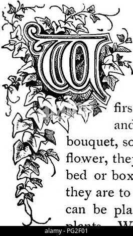 . Le Royaume floral : son histoire, le sentiment et la poésie : un dictionnaire de plus de 300 plantes, avec les genres et les familles auxquelles elles appartiennent, et la langue de chaque illustré avec les pierres précieuses à la poésie . Langage des fleurs ; les fleurs dans la littérature. JISTUM. Poule dans leur cours le printemps et l'été les fleurs ont disparu, et les mois qui viennent sur les fruits qui mûrissent et finir les récoltes, nous sommes dépendants de ces fleurs comme les asters et chrysanthèmes pour la beauté de nos plates-bandes, le premier nommé ameublement une variété presque infinie, à la fois dans les tons o Banque D'Images