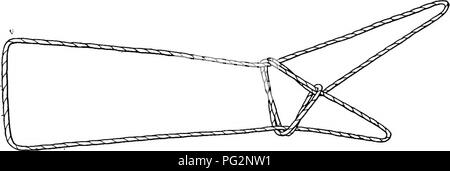 . Rapport de l'Expédition arctique canadienne 1913-1918. Des expéditions scientifiques. Fig. 35, "Le nuage". Fig. 36, "le chien Déchets" XXVIII. Le loup ce chiffre est donné par le nom "koftsik" par le Dr Gordon, venant de l'île Nunivak. Certains amérindiens indiens l'a appelé "le chien" {qdmiq).' De Port Clarence au golfe du Couronnement il porte le nom de "loup", (amayoq). La figure que M. Boas trouvés dans la baie Cumberland portant le nom de "loup" semble être le même. L'Eskimo "loup" est le même que le chiffre "Indiens Klamath Banque D'Images