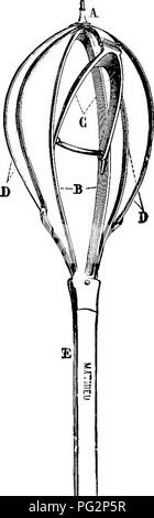 . La castration des animaux. La castration. fia. 29.-chaelikr^.vL'VAait speculum. u. (Fermé.) (Ouvert.. Veuillez noter que ces images sont extraites de la page numérisée des images qui peuvent avoir été retouchées numériquement pour plus de lisibilité - coloration et l'aspect de ces illustrations ne peut pas parfaitement ressembler à l'œuvre originale.. Liautard, Alexandre Franc ?ois Augustin, 1835-. New York, W. R. Jenkins ; [etc. , Etc. ] Banque D'Images