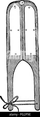 . La castration des animaux. La castration. Seule LA CASTRATION PAR PINCES POUR TIRER.. Veuillez noter que ces images sont extraites de la page numérisée des images qui peuvent avoir été retouchées numériquement pour plus de lisibilité - coloration et l'aspect de ces illustrations ne peut pas parfaitement ressembler à l'œuvre originale.. Liautard, Alexandre Franc ?ois Augustin, 1835-. New York, W. R. Jenkins ; [etc. , Etc. ] Banque D'Images