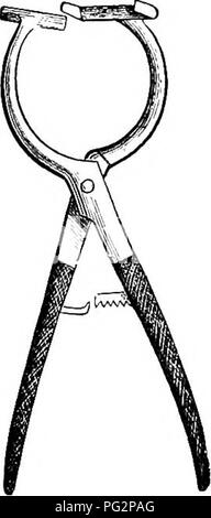 . La castration des animaux. La castration. Déménagement POUR FOECEPS tJenault LA CASTRATION PAR TORSION. Delafond et motif. Eeynal pattern.. Veuillez noter que ces images sont extraites de la page numérisée des images qui peuvent avoir été retouchées numériquement pour plus de lisibilité - coloration et l'aspect de ces illustrations ne peut pas parfaitement ressembler à l'œuvre originale.. Liautard, Alexandre Franc ?ois Augustin, 1835-. New York, W. R. Jenkins ; [etc. , Etc. ] Banque D'Images