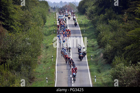 Coblence, Allemagne. Août 23, 2018. 23.08.2018, le cyclisme : l'UCI Série européenne - L'Allemagne Tour, Coblence - Bonn (157, 00 km), Stade 1 : Le champ est sur son chemin. Crédit : Bernd Thissen/dpa/Alamy Live News Banque D'Images