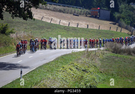 Coblence, Allemagne. Août 23, 2018. Randonnée à vélo, l'UCI série européenne, d' Allemagne, Koblenz - Bonn (157, 00 km), l'étape 1. Rider zone n'est sur la route près d'Ettersdorf. Crédit : Bernd Thissen/dpa/Alamy Live News Banque D'Images