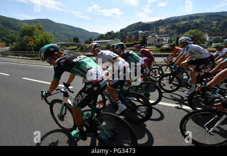 Coblence, Allemagne. Août 23, 2018. Randonnée à vélo, l'UCI série européenne, d' Allemagne, Koblenz - Bonn (157, 00 km), l'étape 1. Riders champ avec Patrick Konrad (l) de l'Autriche de Team Bora-hansgrohe et Pascal Ackermann (2e de gauche) de l'Allemagne de Team Bora-hansgrohe. Crédit : Bernd Thissen/dpa/Alamy Live News Banque D'Images