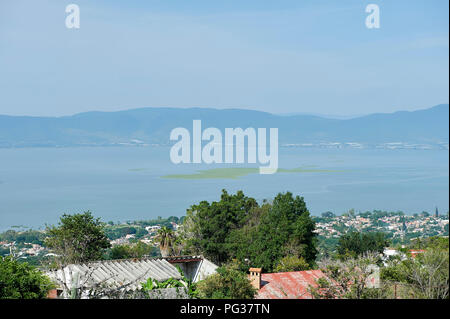 Le lac de Chapala, Mexique, 23 août 2018. Les espèces envahissantes de jacinthes d'eau (Eichhornia crassipes) Couverture du Lac Chapala (Mexique) le plus grand lac d'eau douce, Jalisco, Mexique. Malgré tous les efforts déployés par le gouvernement de Jalisco pendant un certain nombre d'années pour éradiquer cette espèce introduite il continue de se propager, 2018 prouvant pire que jamais causant des inondations en bloquant les canaux, les fossés et les tuyaux et la diminution de l'oxygène dissous de mettre en danger les stocks de poissons locaux. Peter Llewellyn Crédit/Alamy Live News Banque D'Images