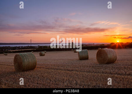 Barton-upon-Humber, Nord du Lincolnshire, au Royaume-Uni. Août 24, 2018. Météo France : Balles et Humber Bridge au lever du soleil, à partir d'un champ à l'extérieur de l'unité de Barton-upon-Humber. Le nord du Lincolnshire, au Royaume-Uni. Août 24, 2018. Credit : LEE BEEL/Alamy Live News Banque D'Images