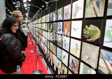 Vancouver, Canada. Août 23, 2018. Les visiteurs regarder des photos d'oiseaux à la 27e Congrès ornithologique international tenue à Vancouver, Canada, le 23 août, 2018. Les ornithologues du monde entier ont participé à la journée de huit Congrès ornithologique international pour partager leurs dernières recherches et les efforts de conservation. Credit : Liang Sen/Xinhua/Alamy Live News Banque D'Images