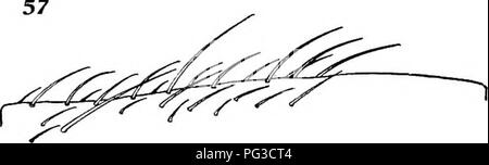 Ce rapport documente l'expédition canadienne dans l'Arctique (1913-1918), détaillant les recherches scientifiques menées dans les régions arctiques. Les résultats couvrent divers domaines, dont la géologie, la biologie et les études climatiques au cours de cette expédition historique. Banque D'Images