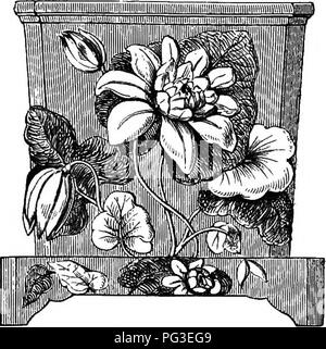 . Le livre du jardin. Le jardinage. ORCHID-chambre. 687 (Fig. 263), ont été également employées, et avec beaucoup plus d'effet, plus particulièrement quand ils Fig. 262. grand avantage, cependant, de ces paniers, c'est qu'ils obtenir les racines de l'excès d'iam- Fig. 264.. sont suspendues et exposées à la vue. Ces et d'autres, dans une grande variété de motifs et ele- gance de conception, sont fabriqués par MM., Miuton à Stoke-upon-Trent, et l'ardoise-pots ont également été plus ou moins utilisé. Cochon. 263.. Veuillez noter que ces images sont extraites de la page numérisée des images qui peuvent avoir été améliorer numériquement Banque D'Images