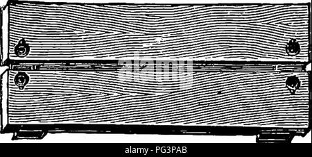 . La biologie élémentaire, animale et humaine. La biologie. Insectes 3 spécimens secs peuvent être assouplies en plaçant une quantité de sable ou de papier froissé dans un pot de la batterie ou d'autres à large goulot récipient qui peut être bien couvert. Le sable humide ou de papier soigneusement et puis saupoudrer sur un httle sable sec ou couvrir avec du papier buvard-. Mettre dans le beurre séché- ' vole environ vingt-quatre heures avant de les diffuser, et couvrir le plat. Si le pot de détente â est conservé dans un endroit chaud, le processus sera a- t,,â q t * v i, j '^ tia. S. â propagation de l'insecte. conseil tened, mais il faut prendre garde à ne pas laisser Banque D'Images