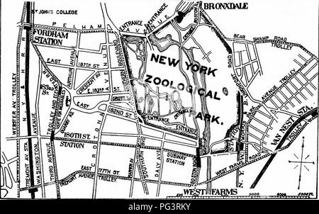 . Guide officiel populaire à la New York Zoological Park. New York Zoological Park. 16 GUIDE OFFICIEL POPULAIRE.. Croquis de la Zoological Park ET AUX ENVIRONS. Moyens d'accès. Par le métro, à l'entrée de la route de Boston.-La ter- moins de la branche est de la metro, à "180ème St., Parc Zoologique, terres" les visiteurs du sud-est de l'en- les transes pour le Parc Zoologique, à "l'ouest de fermes. Les visiteurs de points en dessous de la 96ème rue doit veiller à bord du "Bronx Park" les trains, et non pas la "Broadway" des trains. Routes pour automobiles ou voitures.-Via Central Pa Banque D'Images