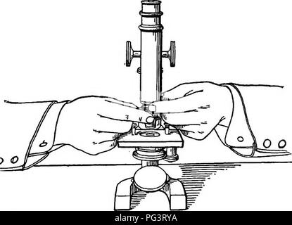 . Éléments de microscopie électronique appliquée. Un texte-livre pour les débutants. Microscopie électronique. 26 ÉLÉMENTS DE /tPPLIED MICROSCOPIE. peut être utilisée lorsque l'éclairage plus fort est souhaitable. L'observateur doit ajuster son angle par rapport à la fenêtre, une lampe, une claire et bien définie de cercle de lumière peut être vu. Si l'hght être inégale, ou si une image de la fenêtre-bars ou la flamme est visible, soit l'angle du miroir ou sa distance de la scène peut être changé qu'à re-. o o . Fig. i8.-^méthode ou l'insertion d'objectifs. (Après Bausch.) déplacer la difficulté. Si le cercle est trop lumineux pour que son gl Banque D'Images