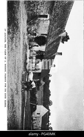 Ce travail détaille l'histoire et le développement de la race de chevaux Percheron, y compris son origine, son introduction aux États-Unis et sa diffusion à travers le pays. Il fournit des informations sur l'élevage, l'alimentation et la gestion générale de ces chevaux de trait. Banque D'Images