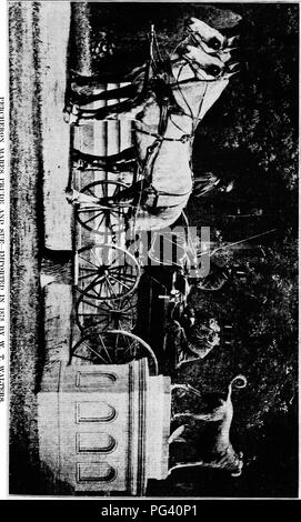 Cette image tirée de 'A History of the Percheron Horse' documente les origines, le développement et l'introduction de la race aux États-Unis. Le percheron, lourd cheval de trait, joua un rôle crucial dans l'agriculture et les transports en France et aux États-Unis Banque D'Images