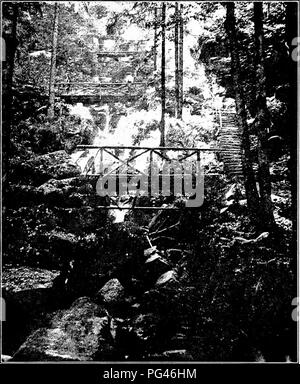 . Principes de la foresterie américaine . Les forêts et la foresterie. [À face rn&lt;je 249.]. Fig. 73.-scène dans la Forêt Noire près de Nohfelden, Allemagne), à proximité d'une station à la mode.. Veuillez noter que ces images sont extraites de la page numérisée des images qui peuvent avoir été retouchées numériquement pour plus de lisibilité - coloration et l'aspect de ces illustrations ne peut pas parfaitement ressembler à l'œuvre originale.. Green, Samuel B. (Samuel) Bowdlear, 1859-1910. New York, J. Wiley & Sons ; Banque D'Images