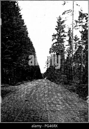 . Principes de la foresterie américaine . Les forêts et la foresterie. ^page tarif à 70,1. Fig. 14.-Wood road, coupe-feu et de Giessen, ALLEMAGNE, en Norvège- Pessière.. Veuillez noter que ces images sont extraites de la page numérisée des images qui peuvent avoir été retouchées numériquement pour plus de lisibilité - coloration et l'aspect de ces illustrations ne peut pas parfaitement ressembler à l'œuvre originale.. Green, Samuel B. (Samuel) Bowdlear, 1859-1910. New York, J. Wiley & Sons ; Banque D'Images