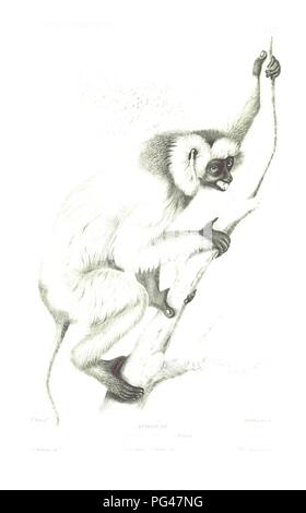 Libre à partir de la page 663 de "Voyage à Madagascar au couronnement de Radama II' . Banque D'Images