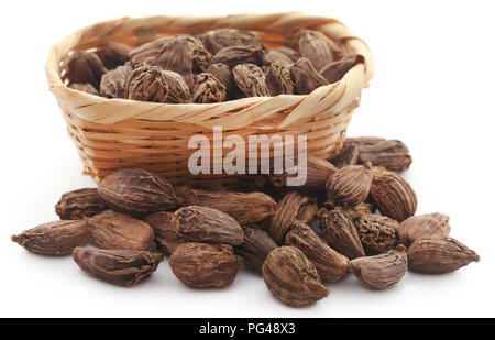 Cardamome noire dans un panier plus backgroumd blanc Banque D'Images