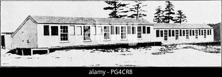 . Principes et pratiques de la culture de la volaille . La volaille. Fio. iy(i. lluusc lor slock reproduction au Maine Agriculuiral Collej;e. Soulevées à pied à l'avant. (I'hotograph collegej^ de. Veuillez noter que ces images sont extraites de la page numérisée des images qui peuvent avoir été retouchées numériquement pour plus de lisibilité - coloration et l'aspect de ces illustrations ne peut pas parfaitement ressembler à l'œuvre originale.. Robinson, John H. (John Henry), 1863-1935. Boston ; New York : Ginn et compagnie Banque D'Images