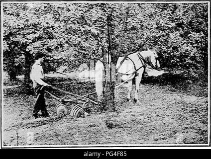 . Guide pour débutants à la culture des fruits : un simple énoncé de la propagation de pratiques élémentaires, la plantation, la culture, la fertilisation, l'élagage, l'arrosage, etc. la culture de fruits. 43 La gestion pour le travail sous les arbres. Un ajustement qui est souvent appliqué aux herses à disques, à dents à ressort et herses herses de lissage est un milieu de la partie rigide inséré afin d'étendre les deux moitiés de l'orig- inal mettre en œuvre sous les arbres tout en permettant les chevaux à marcher au milieu de l'arbre de l'espace. Ceci est illustré à la herse du disque sur la Figure 20. Avec des équipements modernes tels que ceux-ci, c'est possible. Banque D'Images