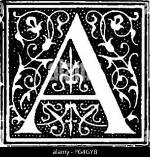 . Le chien livre : une histoire populaire du chien, avec des informations pratiques pour les soins et la gestion de la chambre, chenil, et l'exposition des chiens, et des descriptions de toutes les races importantes . Les chiens. Chapitre XVI Le WELSH SPRINGER SPANIEL ou. Il y a quelques années, nous avons entendu parler d'une nouvelle variété de spaniel, pour lequel le nom de Welsh a été revendiquée, et a rappelé que le pays de Galles et d'épagneuls du Devonshire ont été dans les jours de Stonehenge décrit comme le foie et le foie et blanc ; mais ces derniers jours ont été Taffies dit être blanc avec quelques marquages rouges. Il a été avancé que cette combinaison de couleurs est très exclusif et w Banque D'Images