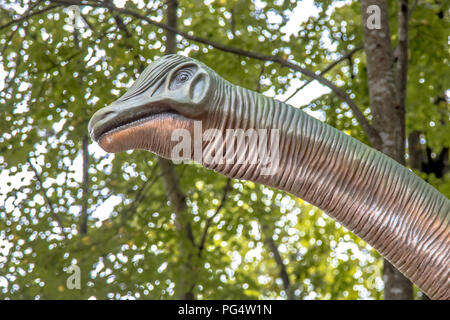 Brontosaurus chef de bush naturel en modèle Banque D'Images