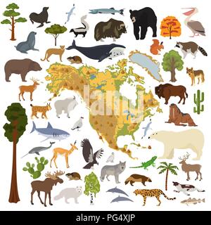 Amérique du Nord Carte de la flore et de la faune, les éléments à plat. Les animaux, les oiseaux et la vie marine big set. Construire votre géographie des infographies collection. Vector illustrati Illustration de Vecteur