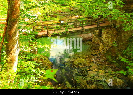 Pont de bois sur la rivière Kamacnik, Croatie Banque D'Images