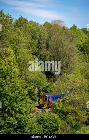 Class 158 sprinter express train de passagers dans la région de First Great Western livery voyager dans la belle province de la campagne. Banque D'Images