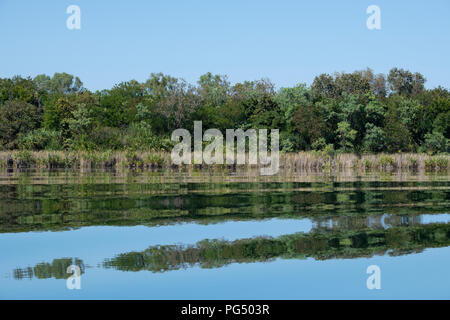 L'Australie, Australie occidentale, Kimberley Coast, entre Wyndham et Kununurra, Ord River. Réflexions des berges de l'habitat des milieux humides le long de la rivière Ord. Banque D'Images