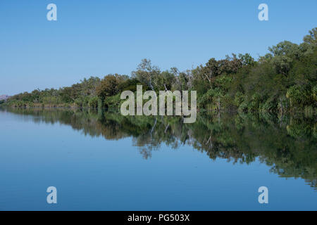 L'Australie, Australie occidentale, Kimberley Coast, entre Wyndham et Kununurra, Ord River. Réflexions des berges de l'habitat des milieux humides le long de la rivière Ord. Banque D'Images