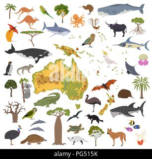 L'Australie et Océanie carte de la flore et de la faune, les éléments à plat. Les animaux, les oiseaux et la vie marine big set. Construire votre géographie des infographies collection. Il vecteur Illustration de Vecteur