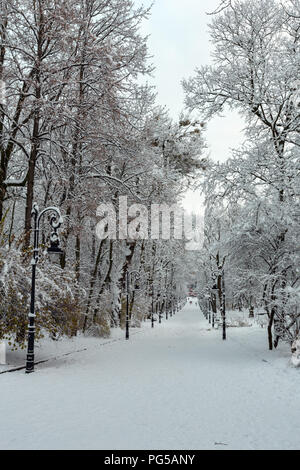 Beau couvert d'hiver matin Ivan Franko Park dans le centre-ville de Lviv, Ukraine. Les gens méconnaissable. Banque D'Images