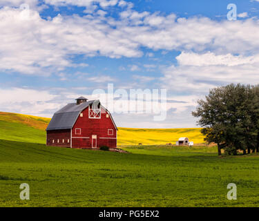 Grange rouge dans la Palouse avec champ de canola Banque D'Images