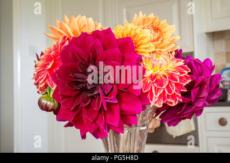 Les fleurs coupées à l'intérieur y compris l'amiral Rawlings dahlia rouge sombre en UK Banque D'Images