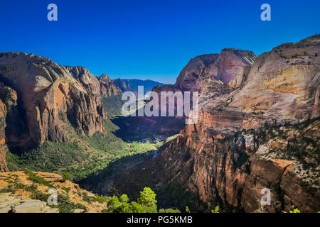 Vue panoramique du célèbre Angels Landing, donnant sur Zion Canyon pittoresque sur une belle journée ensoleillée avec ciel bleu en été, le parc national de Zion, Springda Banque D'Images