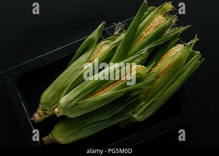 Mise à plat avec des épis de maïs frais, dans un coffret en bois isolé sur black Banque D'Images