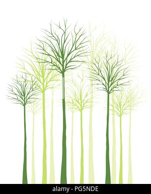 Arbres sans feuilles vertes sur fond blanc Illustration de Vecteur