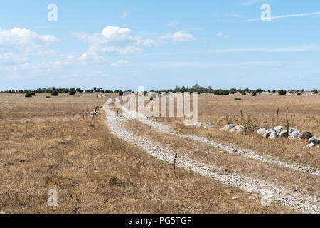 Chemin de terre à travers une plaine et les prairies sèches à l'île de Oland suédois Banque D'Images