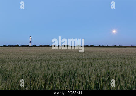 Allemagne, Frise du Nord, Sylt, Kampen leuchtturm Banque D'Images