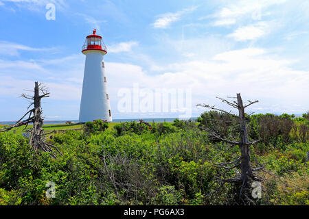 Le phare de Point Prim dans Prince Edward Island, Canada Banque D'Images