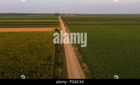 La Serbie, la Voïvodine, vue aérienne du maïs, du blé et des champs de soja et à la fin de l'après-midi d'été Banque D'Images