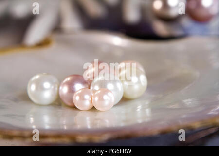 Un groupe de nacre de la shell ont quelques différentes couleur et taille montrant en magasin de bijoux Banque D'Images