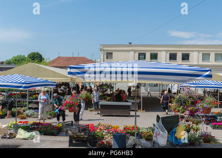 Le jour du marché, les étals du marché, Klaipeda, Lituanie, la Lagune de Courlande, l'Europe de l'Est Banque D'Images