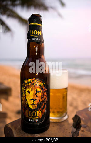 Close up vertical d'une bouteille de bière Lion au Sri Lanka. Banque D'Images